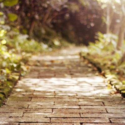 半岛官方网站下载截图